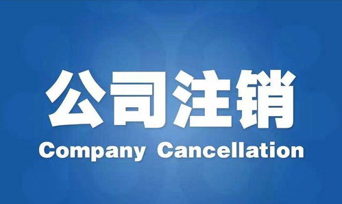 江蘇代理注冊公司信譽(yù)優(yōu)良，專注廣告設(shè)計服務(wù)