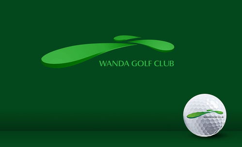 同道服務(wù) 深圳品牌VI設(shè)計與廣告創(chuàng)意的領(lǐng)航者