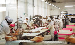哈爾濱為食品注入科技基因 構(gòu)建食藥安全檔案，打造“舌尖上的防火墻”
