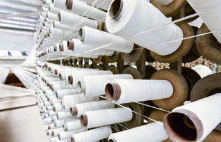 農(nóng)村 搖錢樹(shù) 開(kāi)花時(shí),有沁人心脾的酒香,幼苗可賣700多元